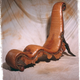 Illustration for article titled Bizarre Furniture Inspired by Animals and Bugs